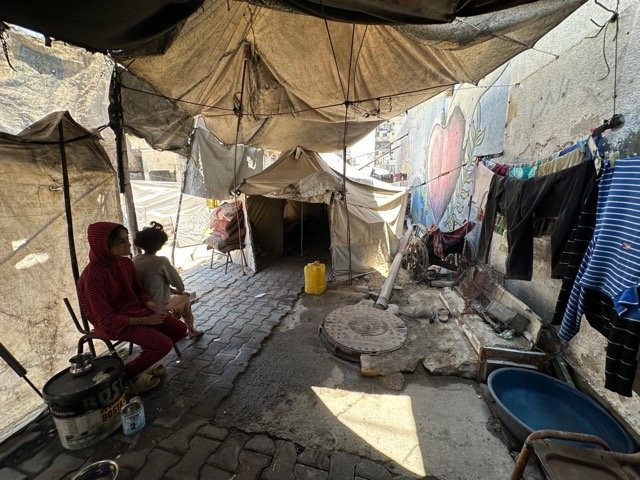 IMAGE 2026-01-29 14:49:18 Medium