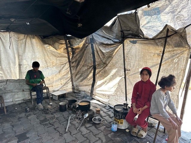 IMAGE 2026-01-29 14:49:35 Medium